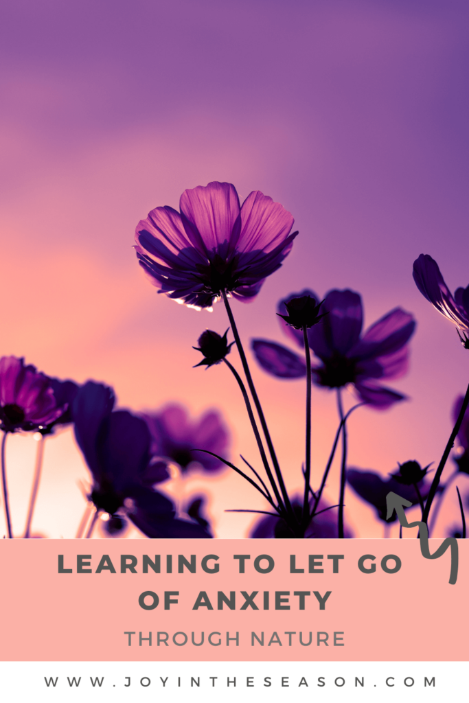 Flowers against a purple and pink sky